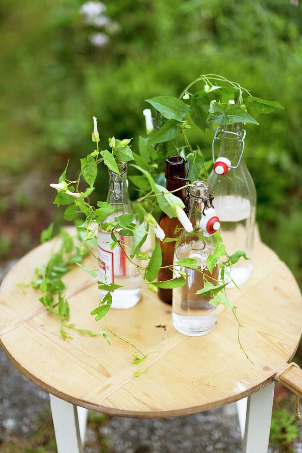 Arrangement Of Bindweed In Swingtop Bottles On Small Wooden Table Outdoors Photograph by Sabine Lscher