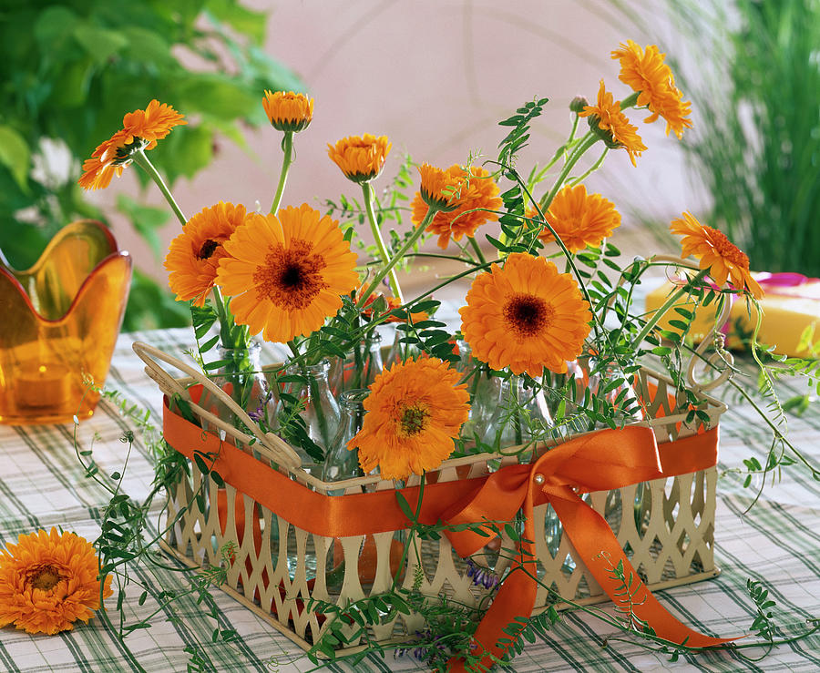 Arrangement Of Calendula And Vicia In A Flat Basket Photograph by Friedrich Strauss