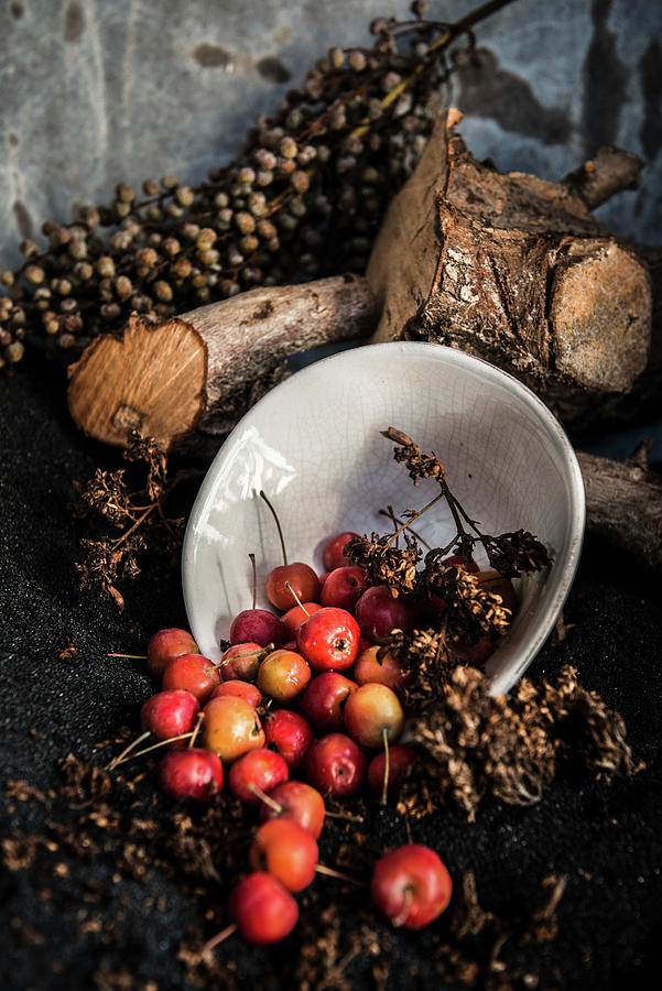 Arrangement Of Crab Apples And Dried Fruits Photograph by Ruud Pos