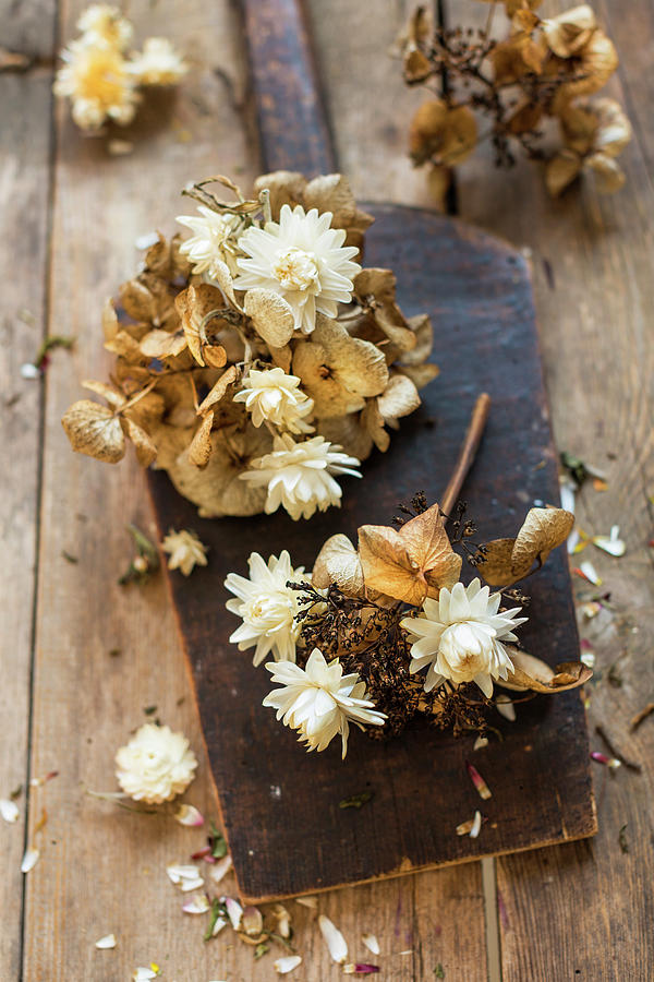 Arrangement Of Dried Hydrangeas And Everlasting Flowers Photograph by Sabine Lscher