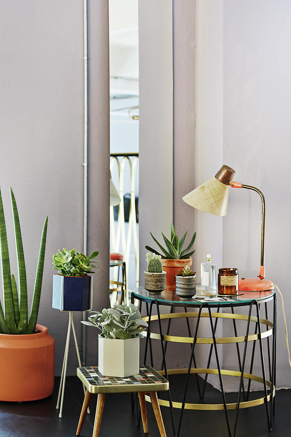 Arrangement Of House Plants And Retro Tables Photograph by Nicoline Olsen