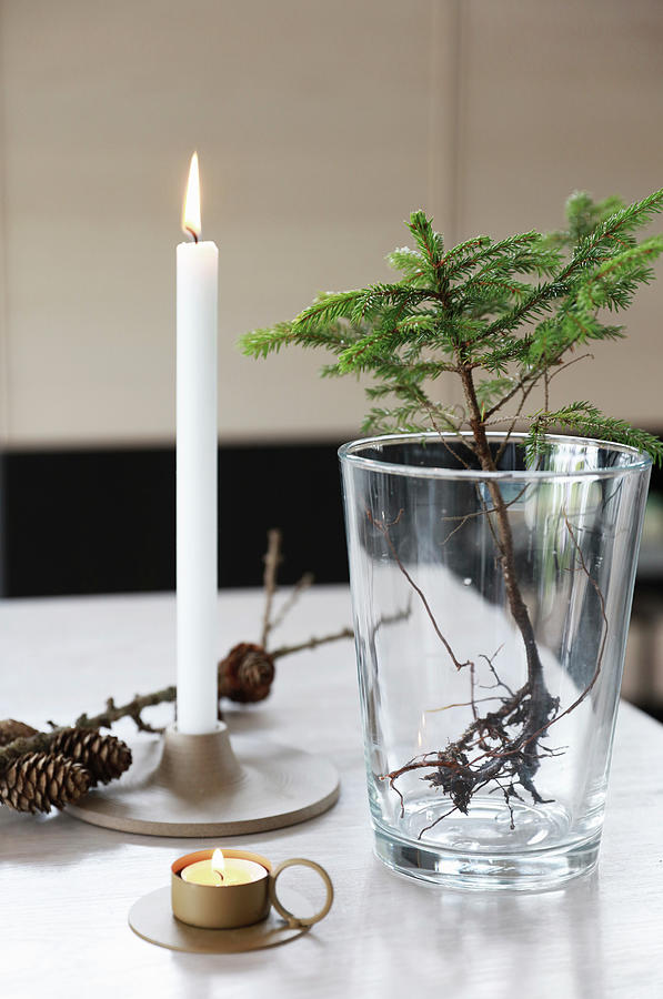 Arrangement Of Larch Sapling In Glass, Candle And Larch Cones On Table Photograph by Annette Nordstrom