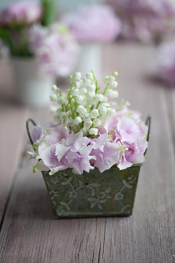 Arrangement Of Lily-of-the-valley And Hydrangeas In Small, Vintage Container Photograph by Martina Schindler