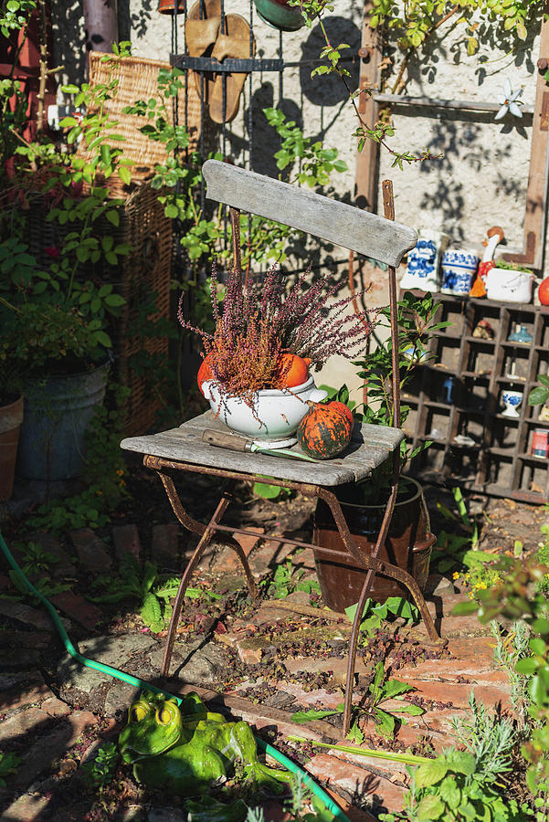 Arrangement Of Pumpkins On Old Garden Chair Photograph by Joanna Stolowicz