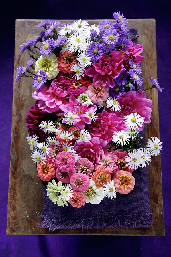 Arrangement Of Various Late Summer Garden Flowers In Shades Of Pink, Violet And White Photograph by Anke Schtz