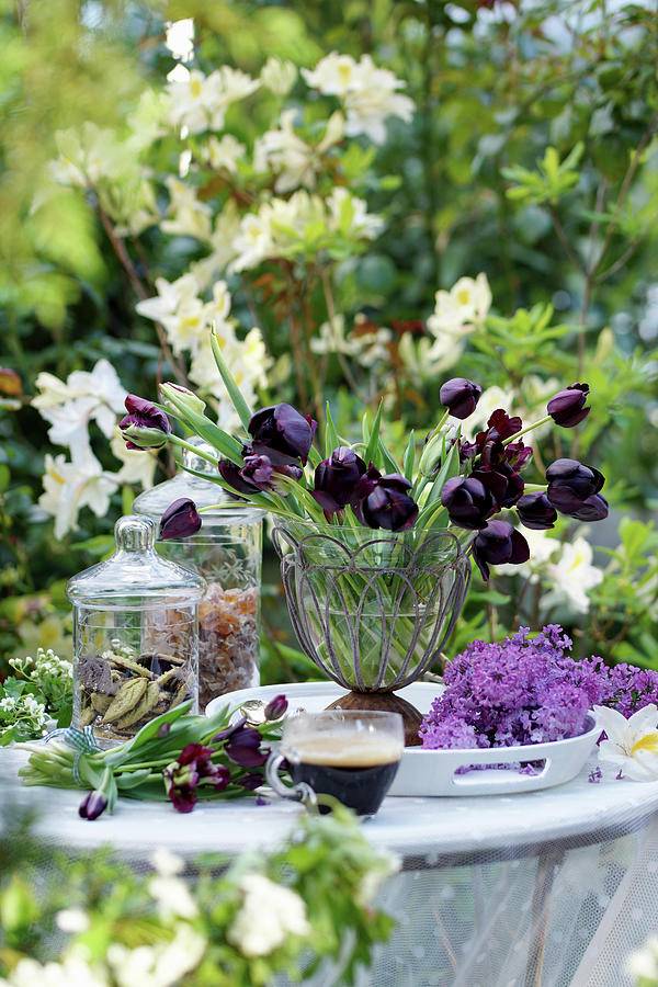 Arrangement Of Vase Of Black Tulips, Lilac Flowers, Glass Cup Of Espresso And Jars Of Biscuits And Rock Sugar Photograph by Angelica Linnhoff