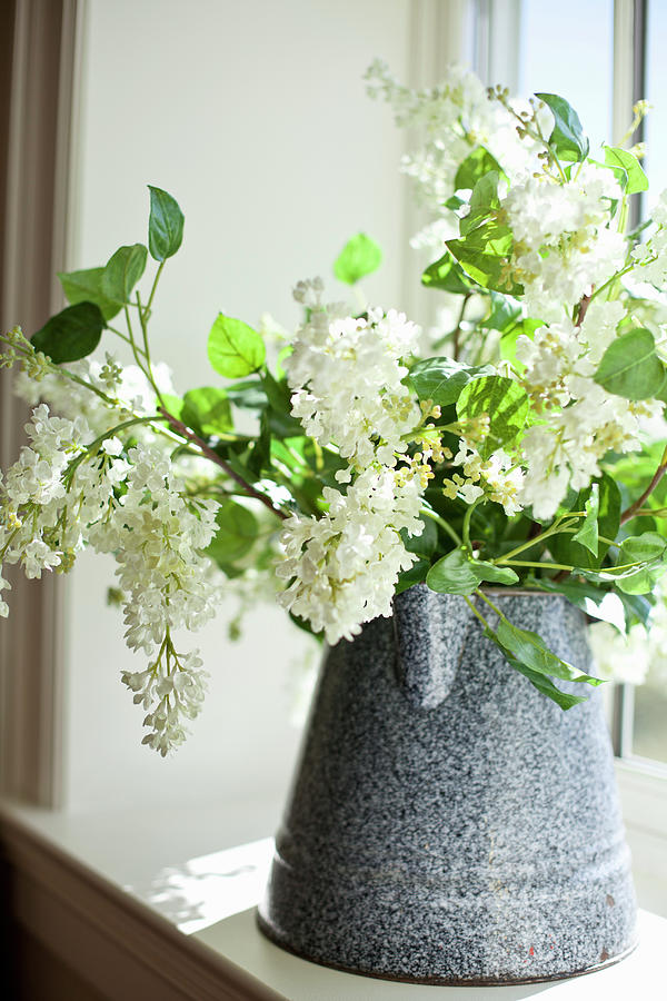 Arrangement Of White Lilac In Old Enamel Jug On Windowsill Photograph by Ryla Campbell