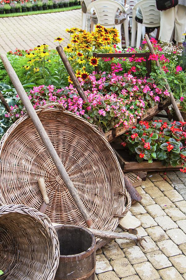 Arrangement Of Wicker Baskets And Flowering Plants Photograph by Monika Halmos