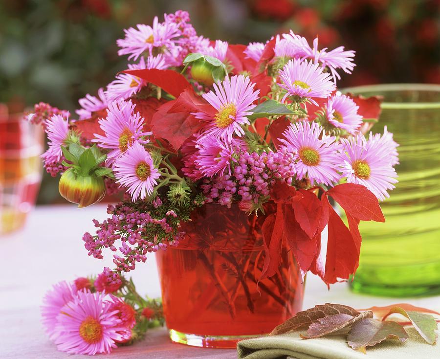 Arrangement With Pink Asters Photograph by Friedrich Strauss
