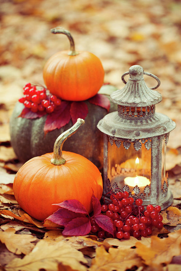Arrangement With Pumpkins And Lantern Photograph by 5ugarless