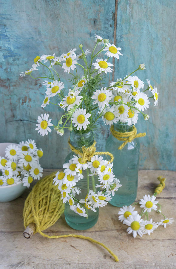 Arrangements And Small Wreath Of Chamomile Flowers Photograph by Martina Schindler