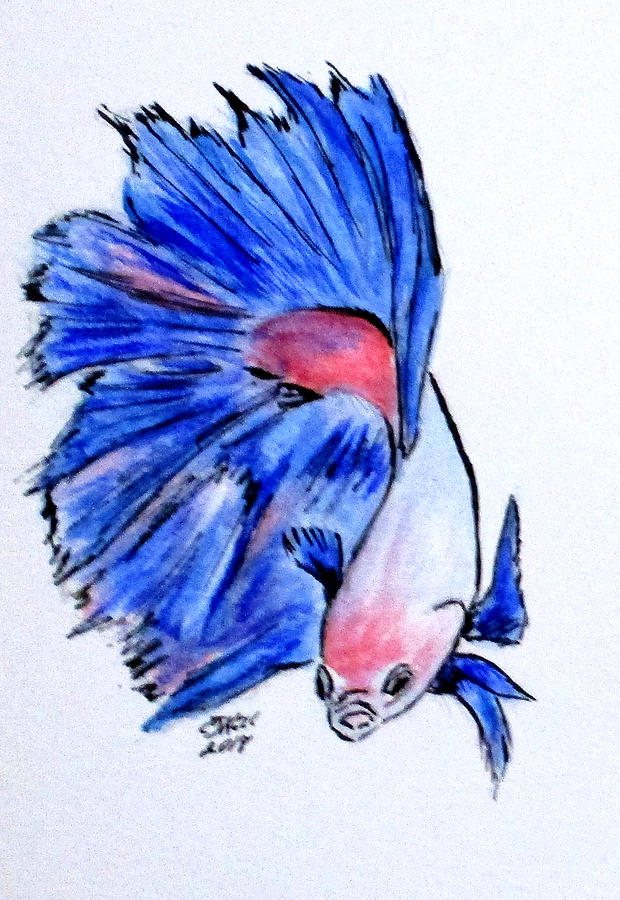 Art Doodle No.33 Betta Fish Painting by Clyde J Kell