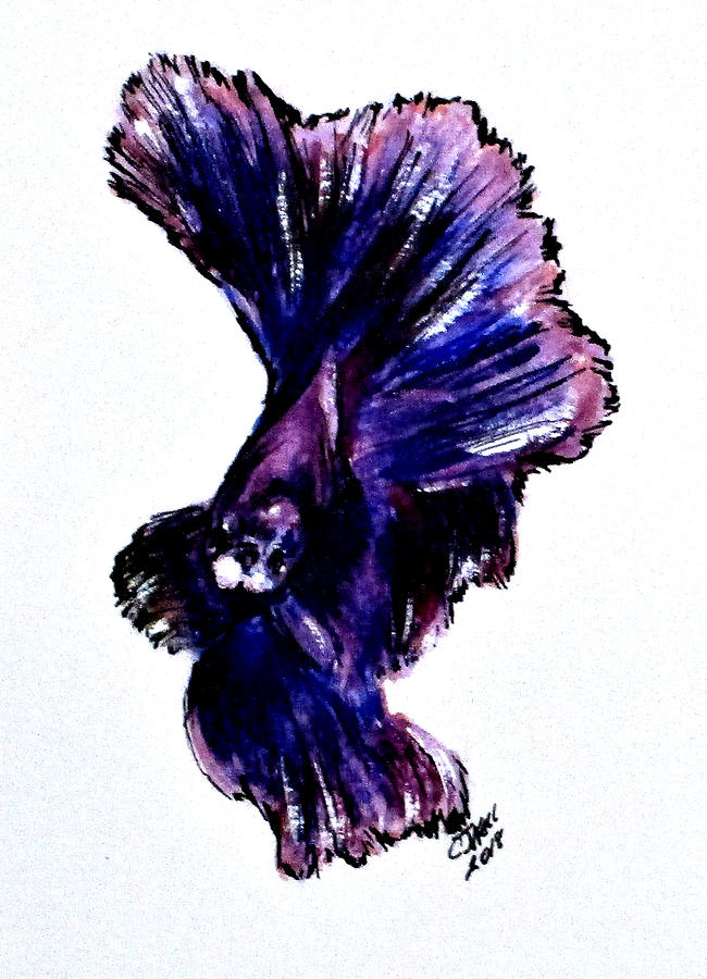 Art Doodle No.35 Betta Fish Painting by Clyde J Kell
