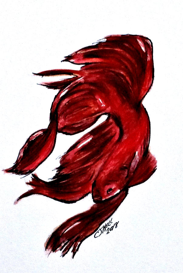 Art Doodle No.36 Betta Fish Painting by Clyde J Kell