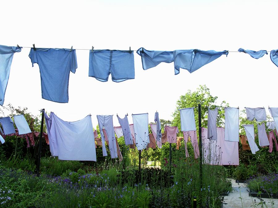Art In Action -- Blue Laundry On A Clothesline In The Garden Photograph by Guy Bouchet