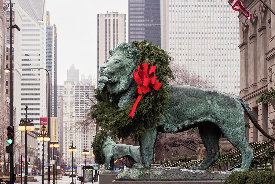 Art Institute of Chicago by Amanda Rimmer Art Institute of Chicago by Amanda Rimmer