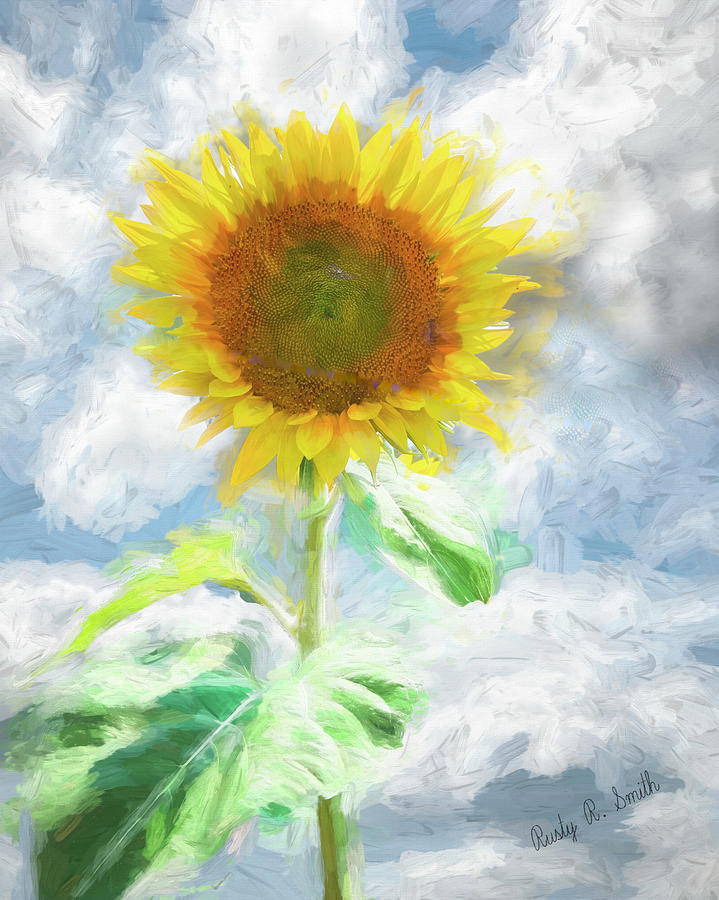 Art photograph of a single sunflower. by Rusty R Smith Art photograph of a single sunflower. by Rusty R Smith