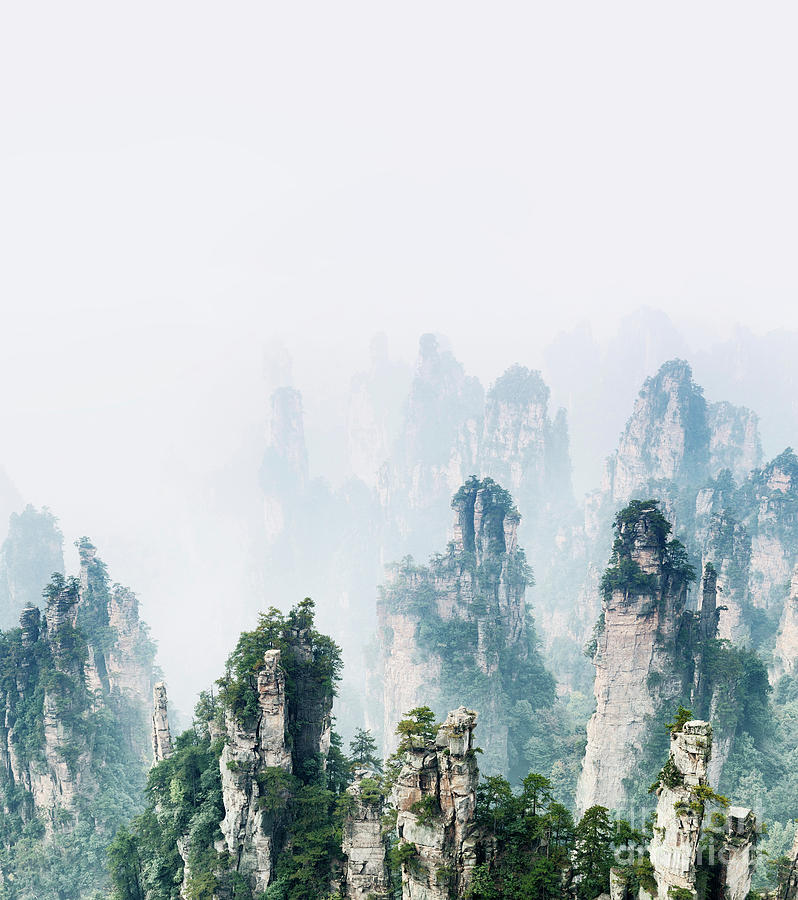 Art Print Mountain spires rising from thick milky fog at Zhangjiajie Photograph by Maxim Images Exquisite Prints