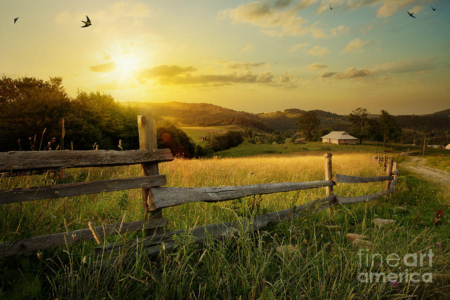 Country Photograph - Art Rural Landscape Field And Grass by Konstanttin Country Photograph - Art Rural Landscape Field And Grass by Konstanttin