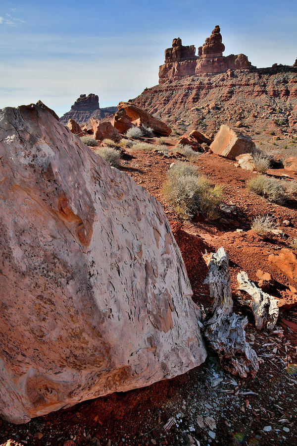 Artful Boulder in Valley of the Gods Photograph by Ray Mathis