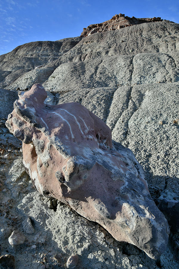Artful Boulder On Ruby Mountain Photograph