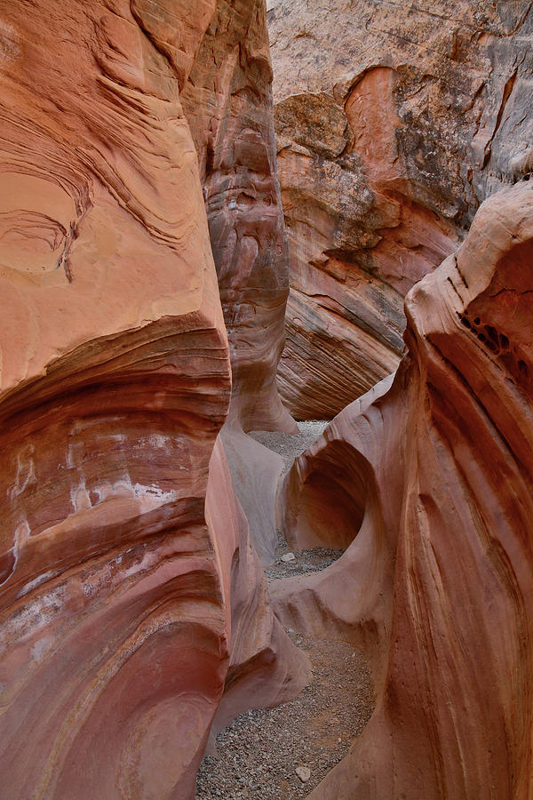 Artful Narrows of Little Wild Horse Canyon Photograph by Ray Mathis