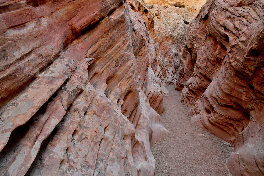 Artful Walls of Little Wild Horse Canyon in Utah Photograph by Ray Mathis