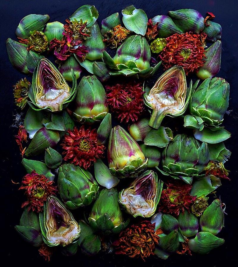 Artichoke Art by Sarah Phillips Artichoke Art by Sarah Phillips