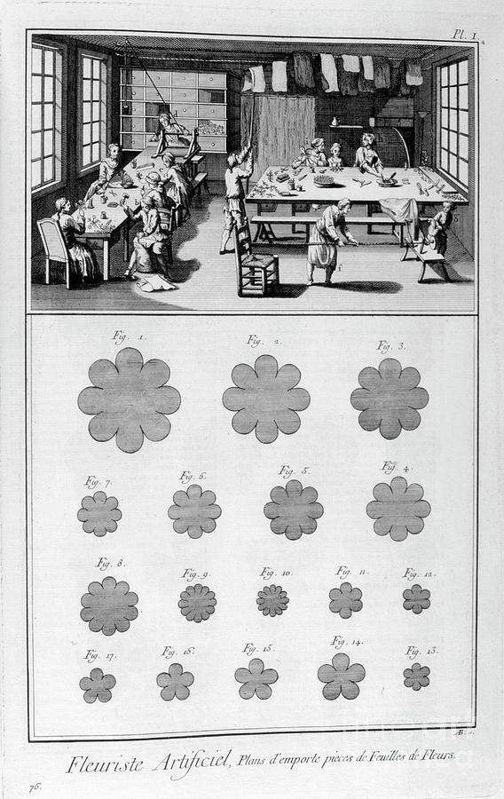 Artificial Florist, 1751-1777 Drawing by Print Collector