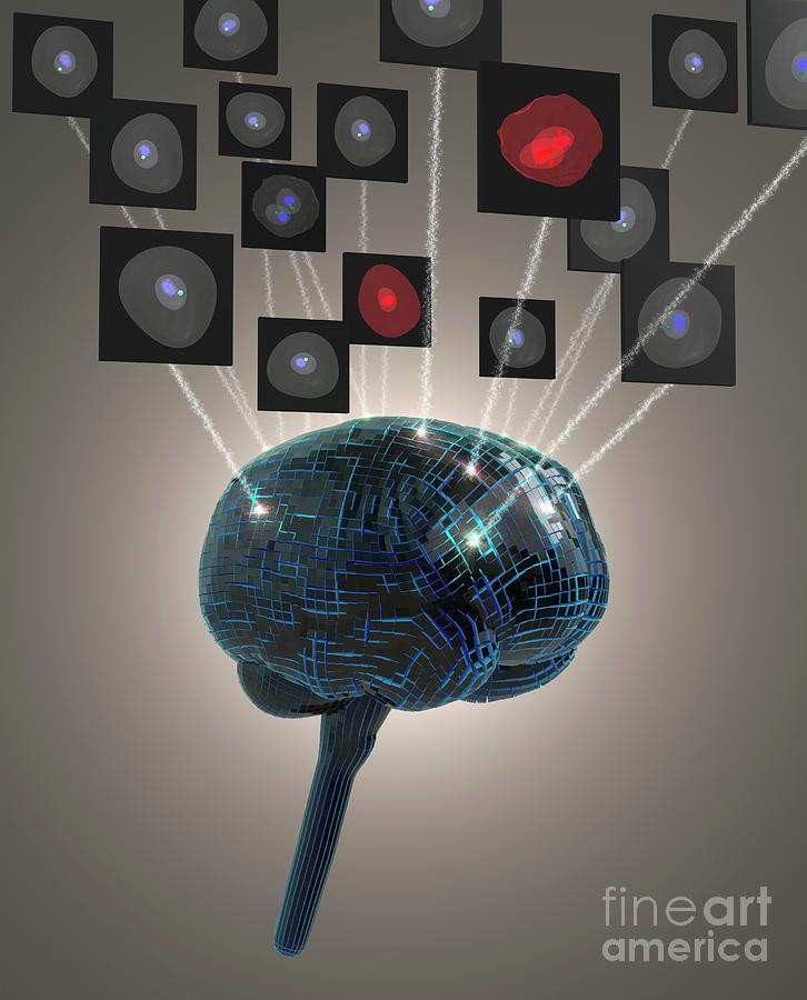 Artificial Intelligence And Cancer Photograph by Tim Vernon/science Photo Library