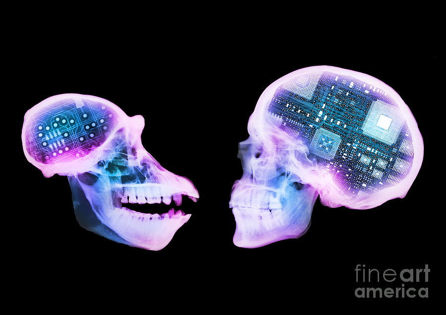 Artificial Intelligence Photograph by D. Roberts/science Photo Library