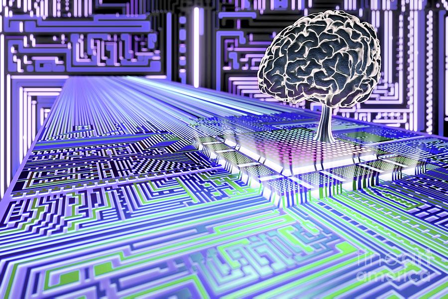 makobambiel understanding  in DeepLearning 