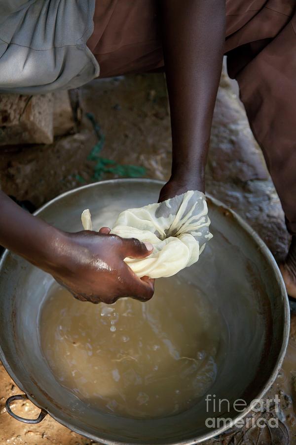 Nature Photograph - Artisan Miner Panning For Gold by Phil Hill/science Photo Library
