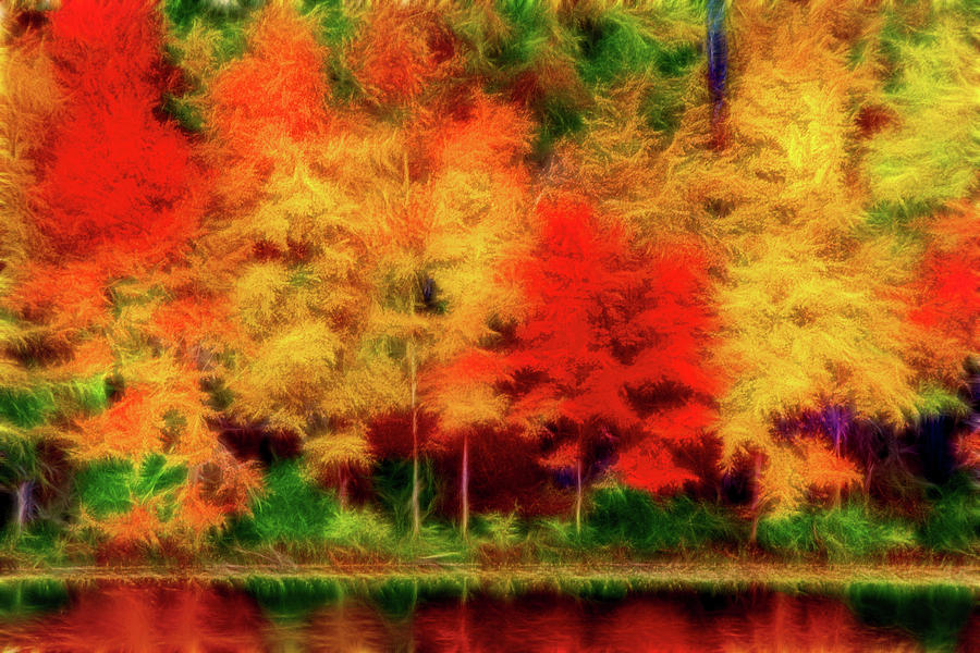 Artistic 2 Fall Colors Photograph by Don Johnson