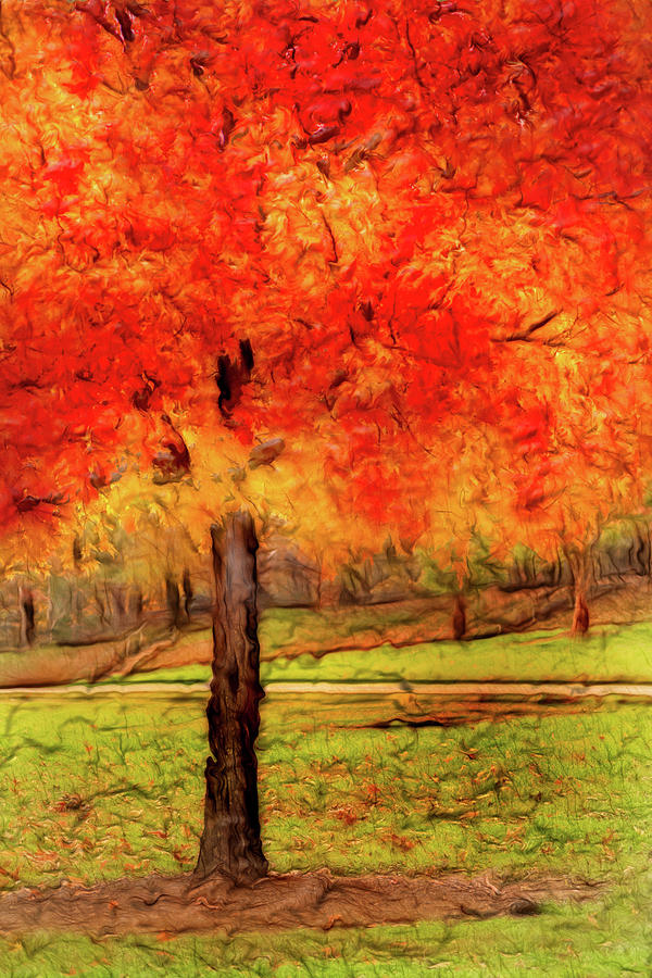Artistic Autumn Orange Photograph by Don Johnson