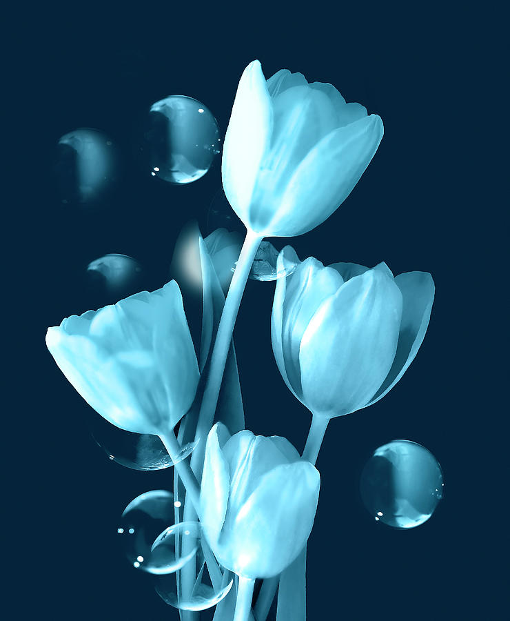 Artistic Blue Tulip Bouquet Photograph by Johanna Hurmerinta