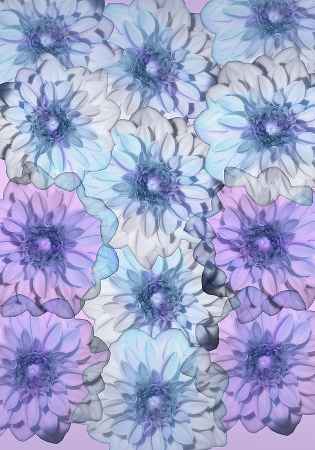 Artistic Dahlia Flower Collage Photograph by Johanna Hurmerinta