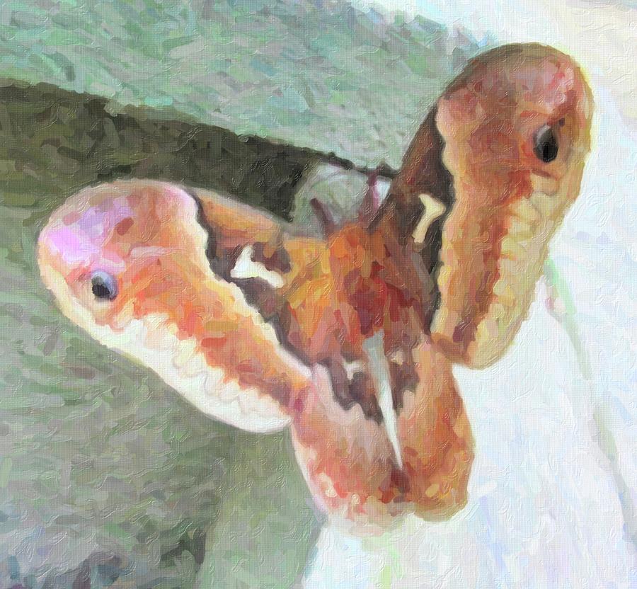 Nature Photograph - Artistic Giant Silk Moth 2 by Cathy Lindsey