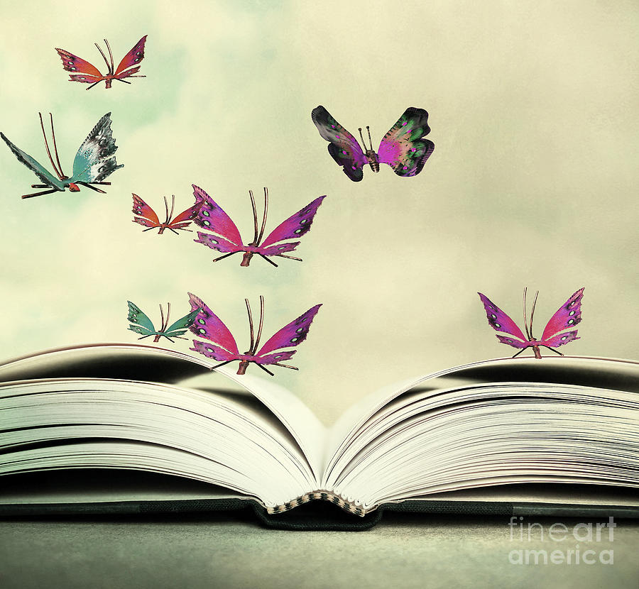 Butterfly Photograph - Artistic Image Of An Open Book by Valentina Photos