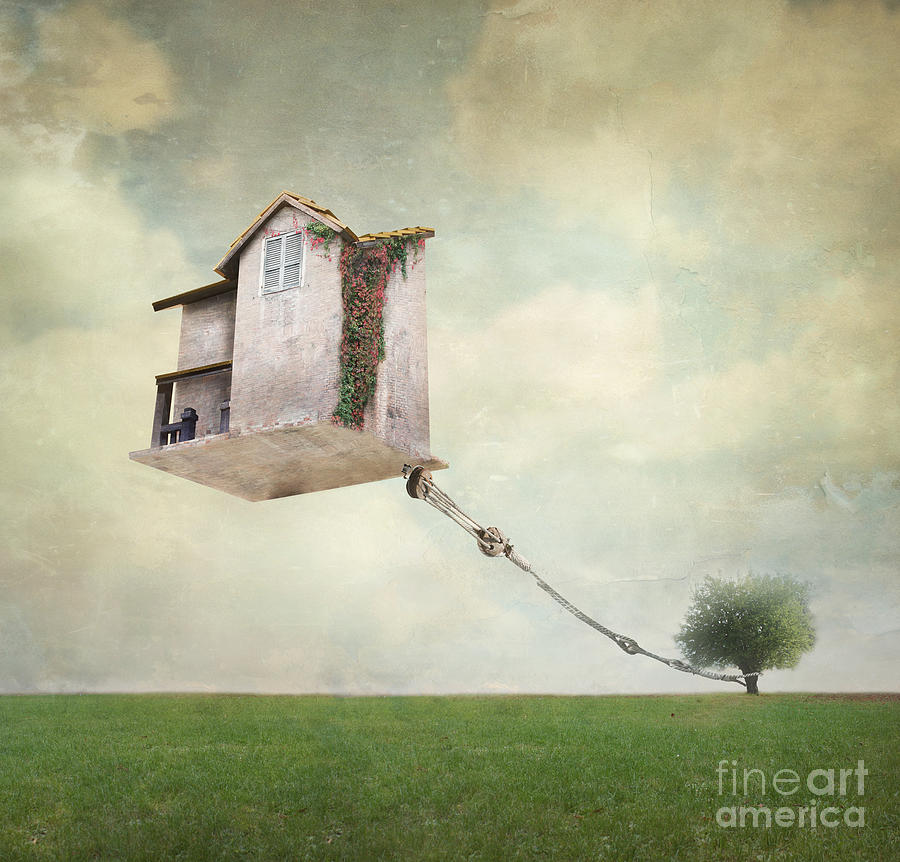 Flight Photograph - Artistic Image Representing An House by Valentina Photos Flight Photograph - Artistic Image Representing An House by Valentina Photos