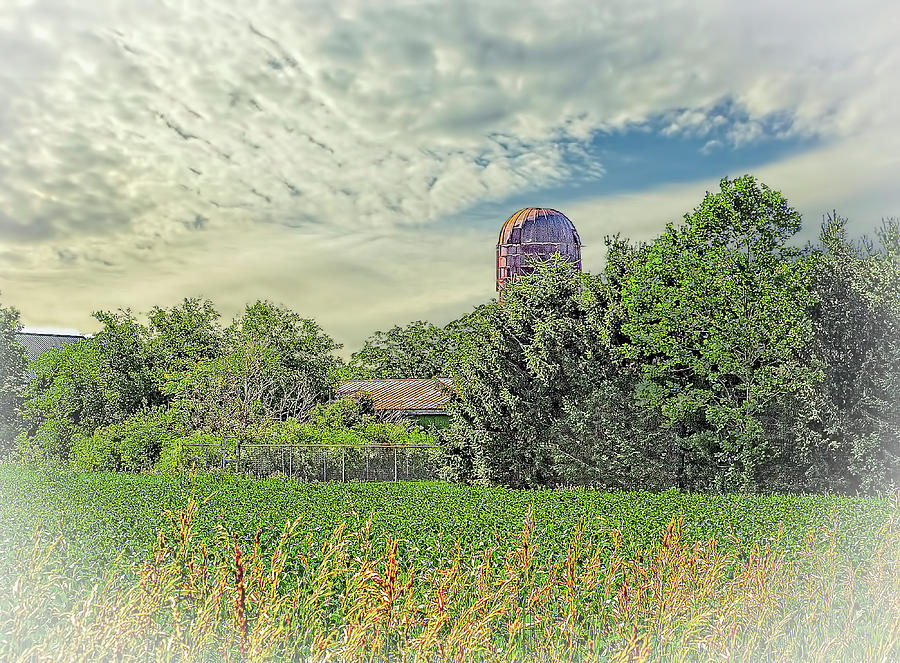 Artistic Old Barn In The Woods Photograph By William Sturgell