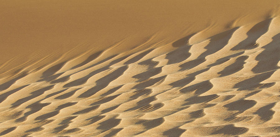 Artistic Sand Dune Photograph by Werner Van Steen