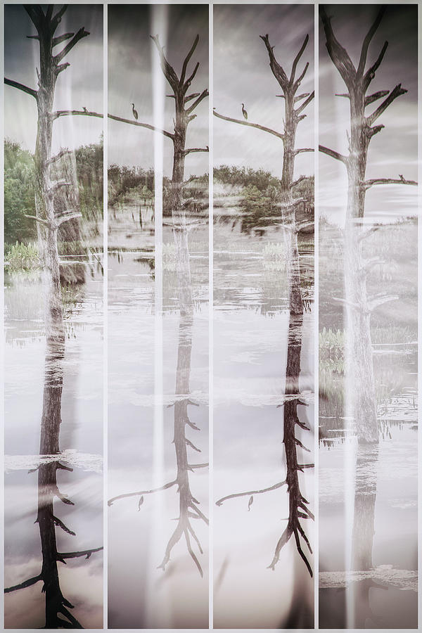 Artistic View Of Bare Tree In Sections, Reflecting Over Water Digital Art by Laura Diez