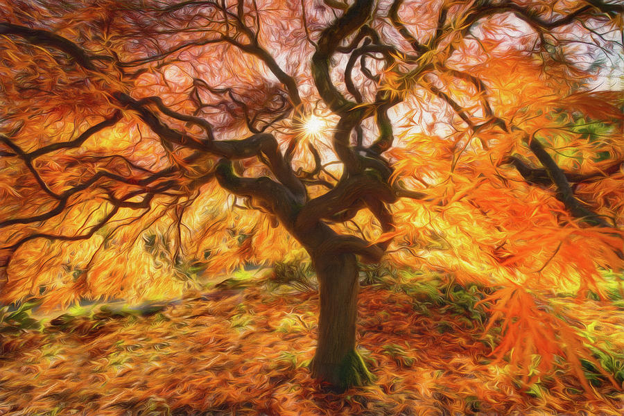 Artsy Autumn Colors Photograph by Judi Kubes