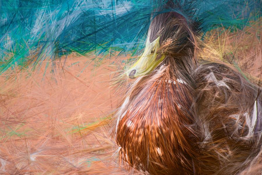Artsy Duck Smeared Photograph by Don Northup