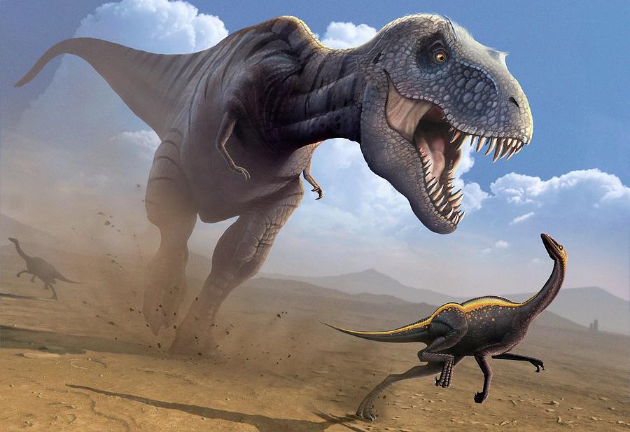Artwork Of A Tyrannosaurus Rex Hunting Digital Art by Science Photo Library - Mark Garlick