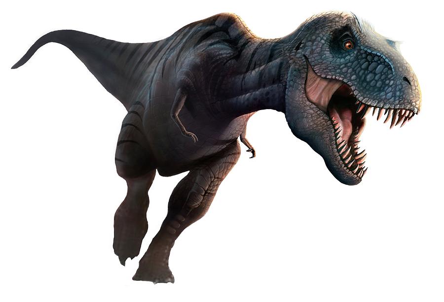 Running not an option for Tyrannosaurus rex