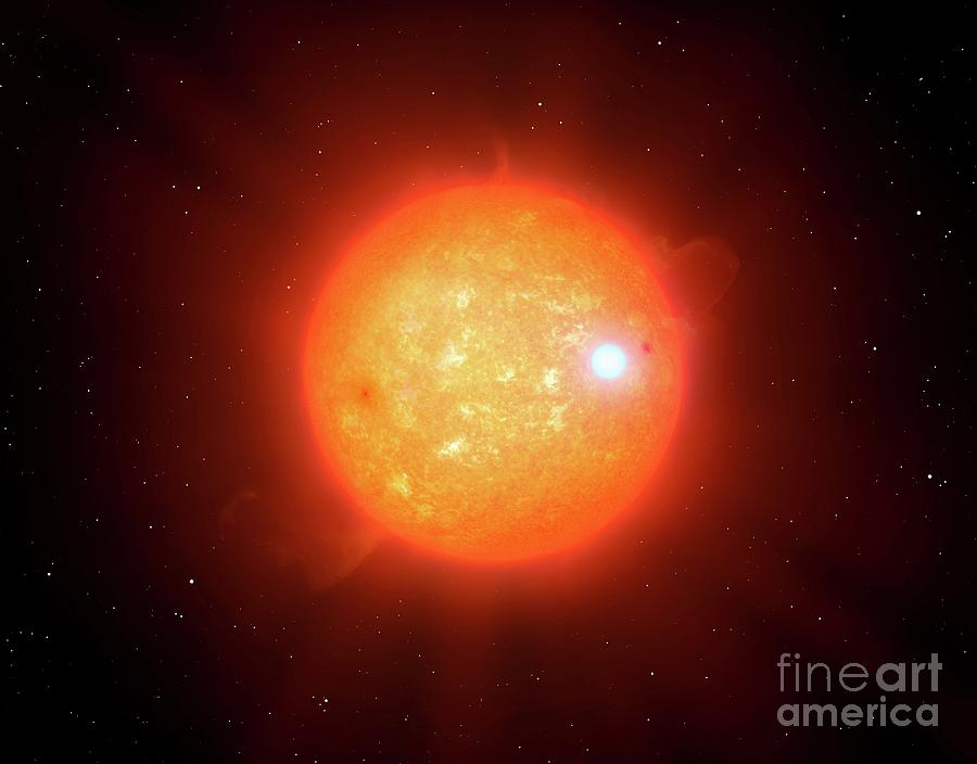 Space Photograph - Artwork Of White Dwarf Red Dwarf Binary by Mark Garlick/science Photo Library