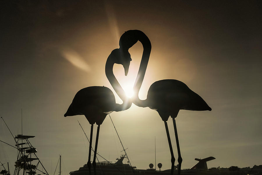 Aruba, Oranjestad, Flamingos Sculpture Digital Art by Claudia Uripos