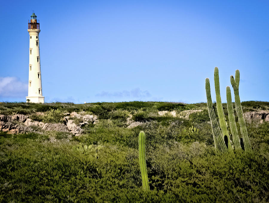 Aruba S California Lighthouse Photograph By Bob Lynn   Arubas California Lighthouse Bob Lynn 